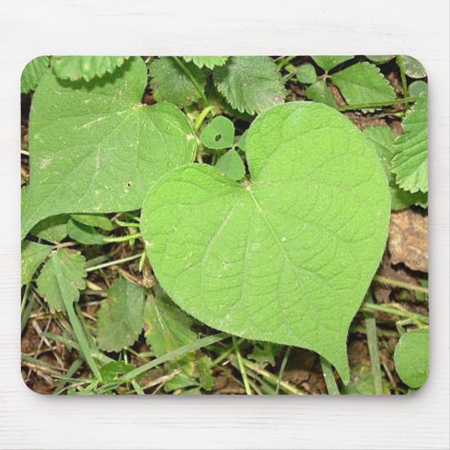 Tapis De Souris Vigne en forme de coeur MousePad (Devant)