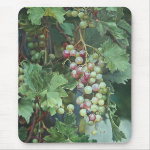 Tapis De Souris Vigne Réaliste avec Feuilles – Art Fin