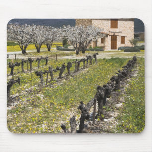 Tapis De Souris Vignoble en dormance, fleurs de fruit, maison en p
