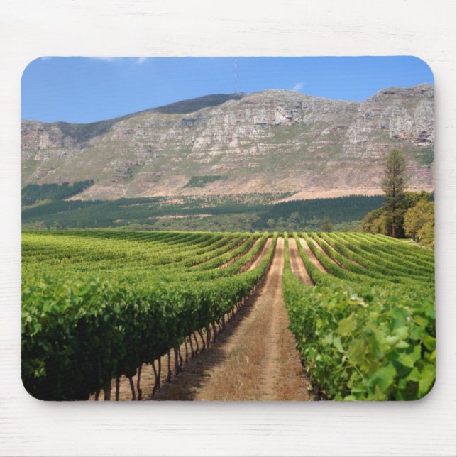 Tapis De Souris Vignobles du domaine viticole Groot Constantia (Devant)