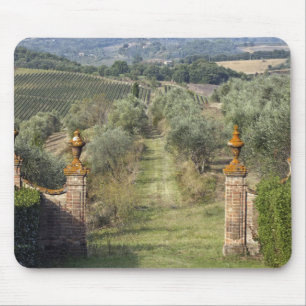 Tapis De Souris Vignobles, Toscane, Italie