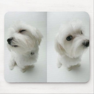 Tapis De Souris vilain-chiots