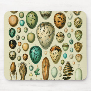Tapis De Souris Vintage Bird Eggs French Fish Egg