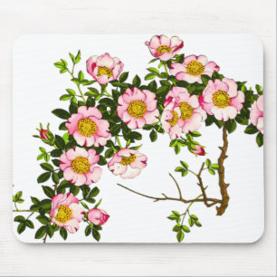 Tapis De Souris Vintage fleurs de cerises japonaises, rose et or