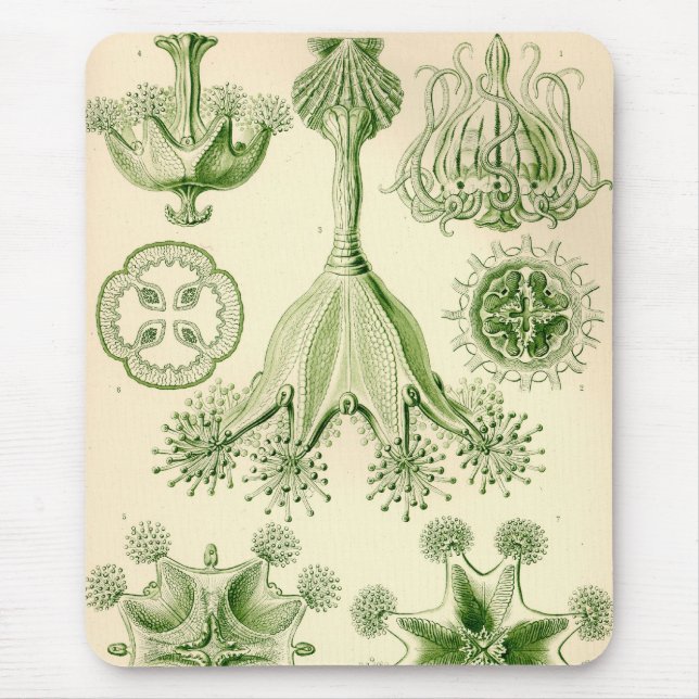 Tapis De Souris Vintage Haeckel (Devant)