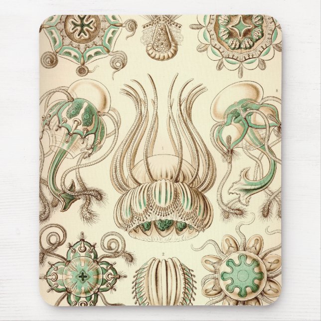 Tapis De Souris Vintage Haeckel (Devant)