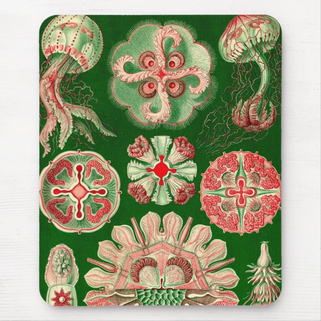 Tapis De Souris Vintage Haeckel (Devant)