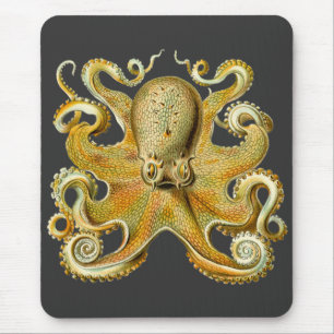 Tapis De Souris Vintage Kraken, Octopus Gamochonia, Ernst Haeckel
