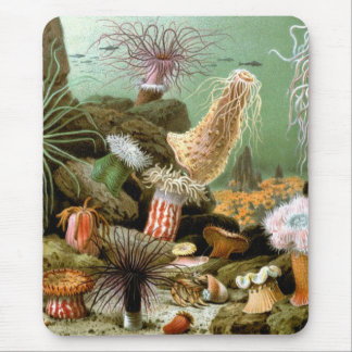 Tapis De Souris Vintage Sea Anemones, Marine Life Ocean Animals