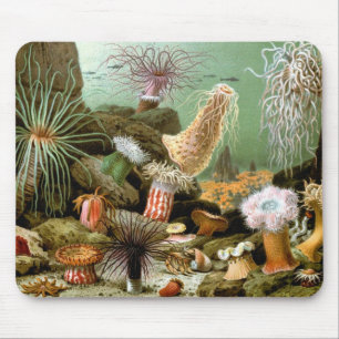 Tapis De Souris Vintage Sea Anemones, Marine Life Ocean Animals