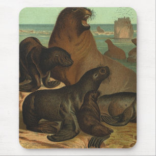 Tapis De Souris Vintage Sea Lions on the Beach, Marine Life Animal
