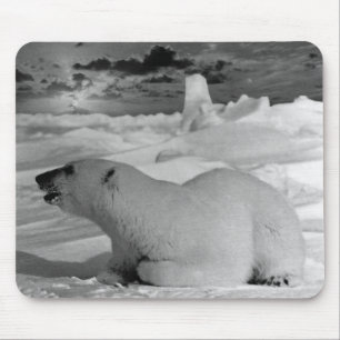 Tapis De Souris Vintage USA Alaska polaire ours Coque-Mate iPhone