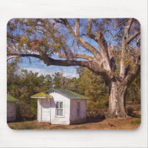 Vintage Vieux Florida Rustique Motel Cabine