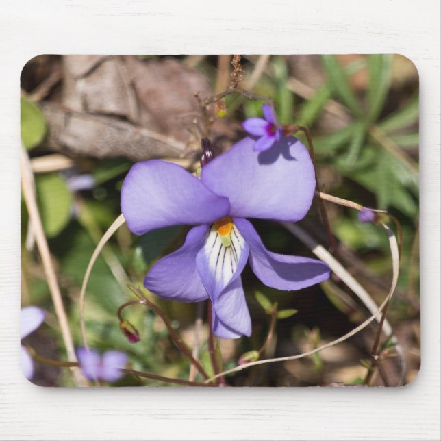Tapis De Souris Violette à pieds d'oiseau avec bluets (Devant)