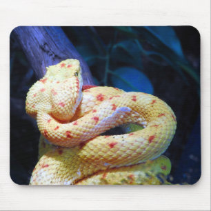 Tapis De Souris Viper Eyelash
