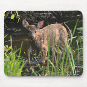 Tapis De Souris Virginia Deer Fawn Bébé Animal Faune Photo