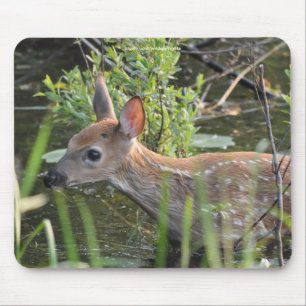 Tapis De Souris Virginia Deer Fawn Bébé Animal Faune Photo
