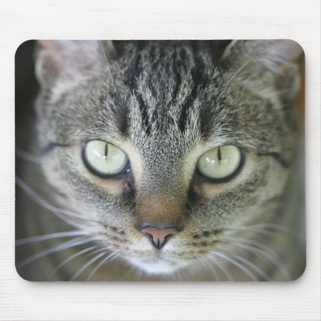 Tapis De Souris visage de chat de tigre (Devant)