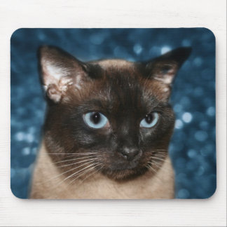 Tapis De Souris visage de chat siamois