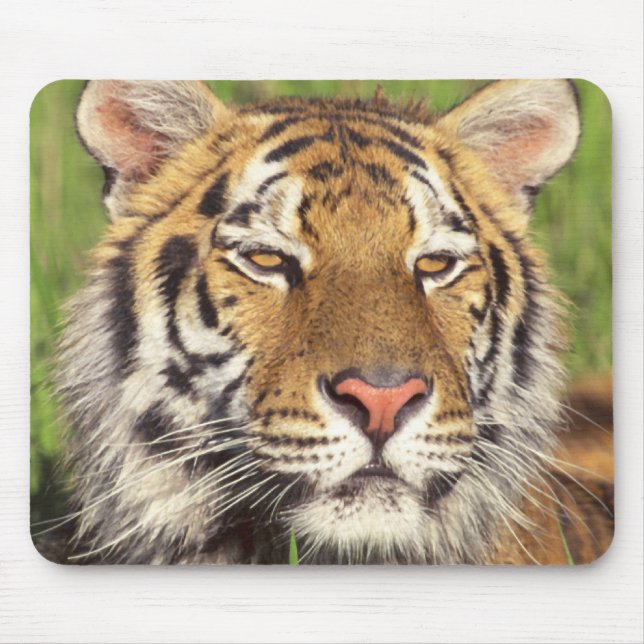 Tapis De Souris Visage de tigre (Devant)