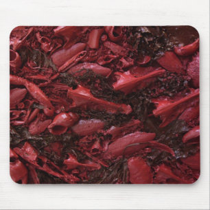 Tapis De Souris Vivant !