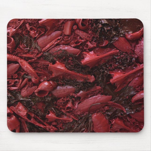 Tapis De Souris Vivant ! (Devant)