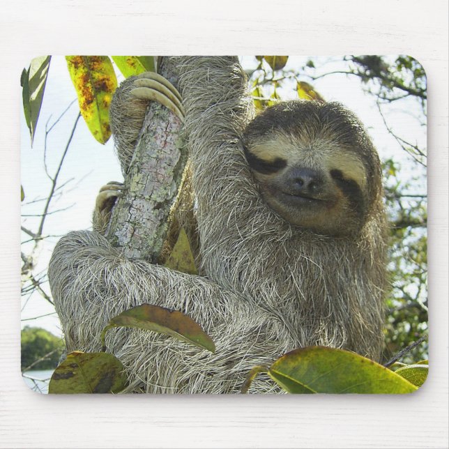 Tapis De Souris Vivre la vie comme une Sloth (Devant)