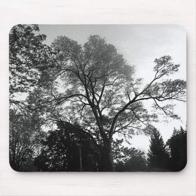 Tapis De Souris Voir le mon arbre Mousepad (Devant)