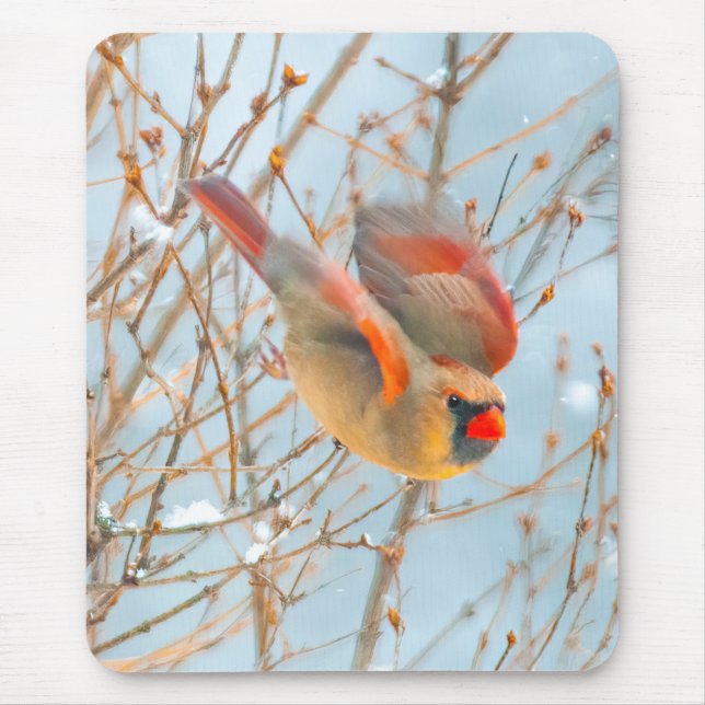 Tapis De Souris Vol Cardinal Nord - Photo originale (Devant)
