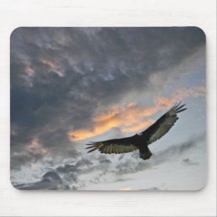 Tapis De Souris Vol Eagle