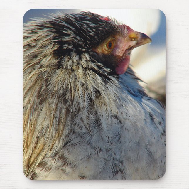 Tapis De Souris Voter Le Poulet (Devant)