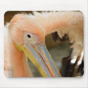 Tapis De Souris Vous Regarder Pelican Mousepad