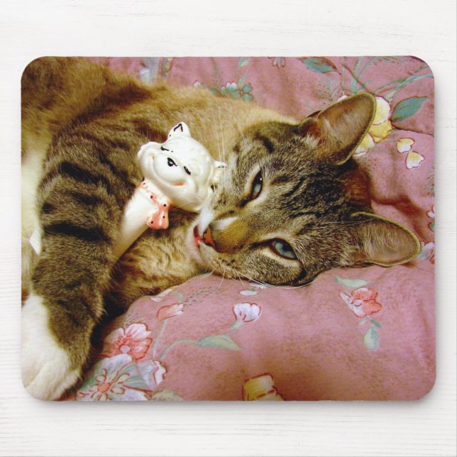 Tapis De Souris Vrai chat, Fake chat (Devant)