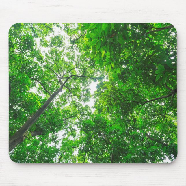 Tapis De Souris Vue ascendante d'arbres (Devant)