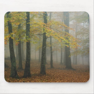 Tapis De Souris Vue automnale d'une forêt brumeuse, Grandfather 3