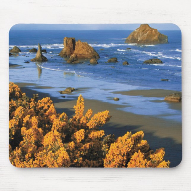 Tapis De Souris Vue de la plage de l'Oregon à Bandon (Devant)