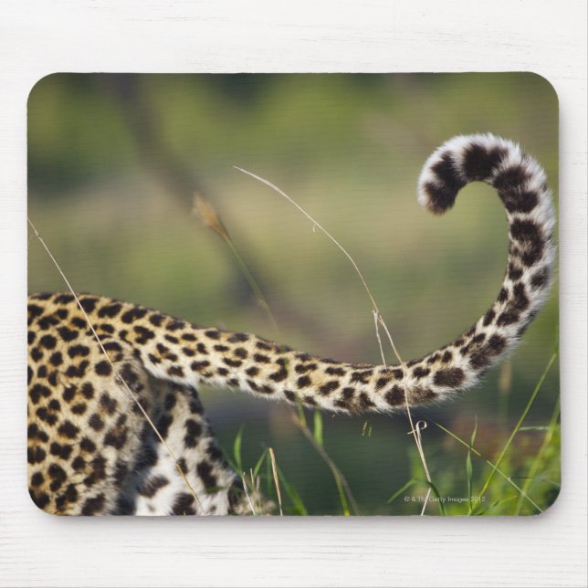 Tapis De Souris Vue de la queue de léopards (Panthera pardus), (Devant)