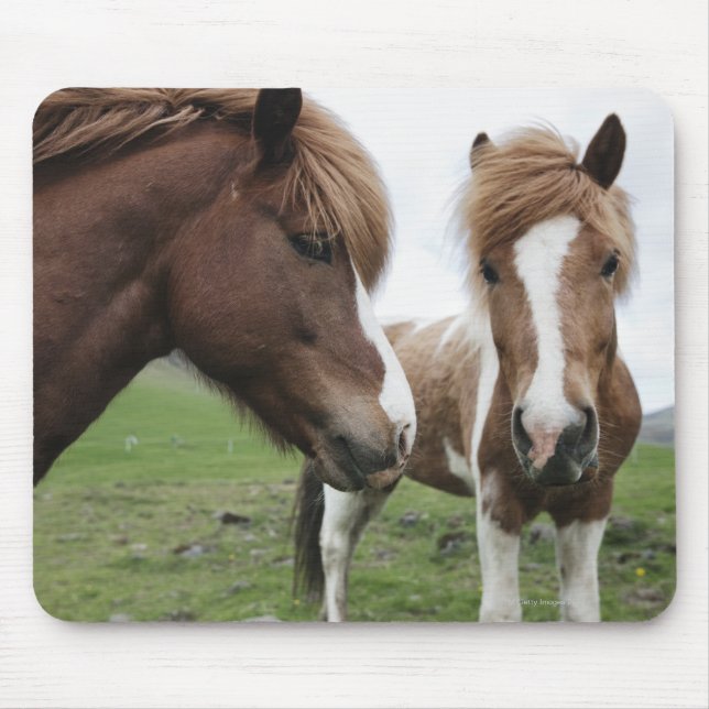 Tapis De Souris Vue du cheval, gros plan (Devant)