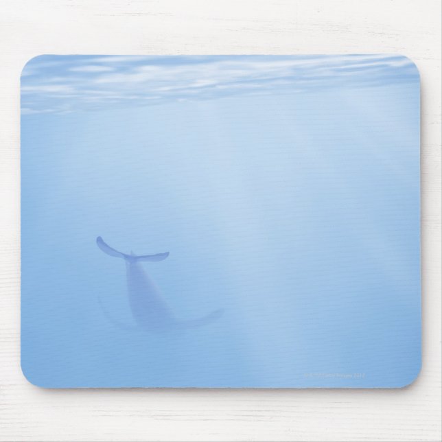 Tapis De Souris Vue sous-marine de la baleine (Devant)