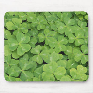 Tapis De Souris Vue sur Oxalis Oregana Bois Sorrel Foliage