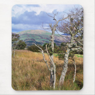 TAPIS DE SOURIS VUES DES ALLES