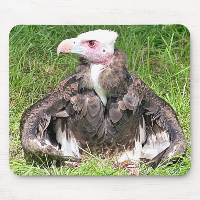 TAPIS DE SOURIS VULTURE (Devant)