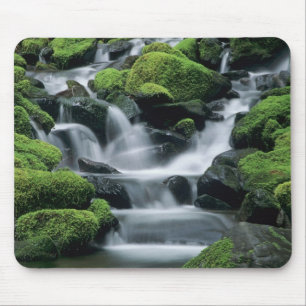 Tapis De Souris WA, parc national Olympique, vallée de Sol Duc, ru