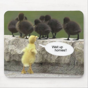 Tapis De Souris waituphomies