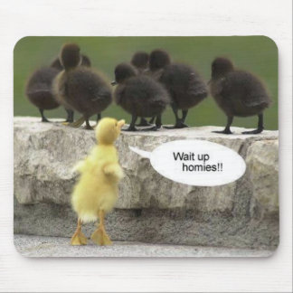 Tapis De Souris waituphomies