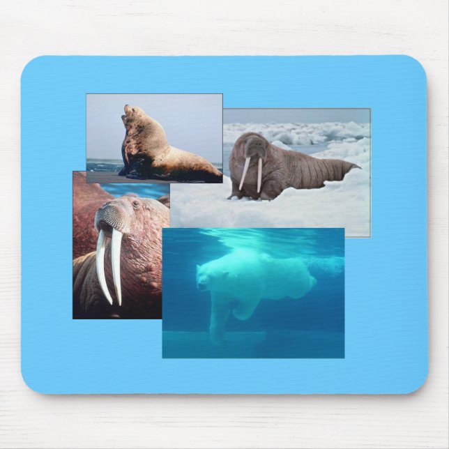 Tapis De Souris Walrus, Ours Polaire, Mousepad, Lion De Mer (Devant)