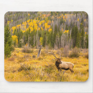 Tapis De Souris Wapiti mâle Parc national de Rocky Mountain Colo