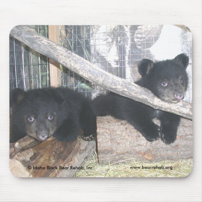 Tapis De Souris Washington jumelle Mousepad 2009 (Devant)