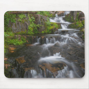 Tapis De Souris Washington, Parc national du mont Rainier 2