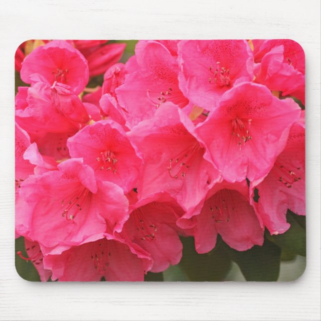 Tapis De Souris Washington, Seattle, Puget Sound, Discovery Park (Devant)